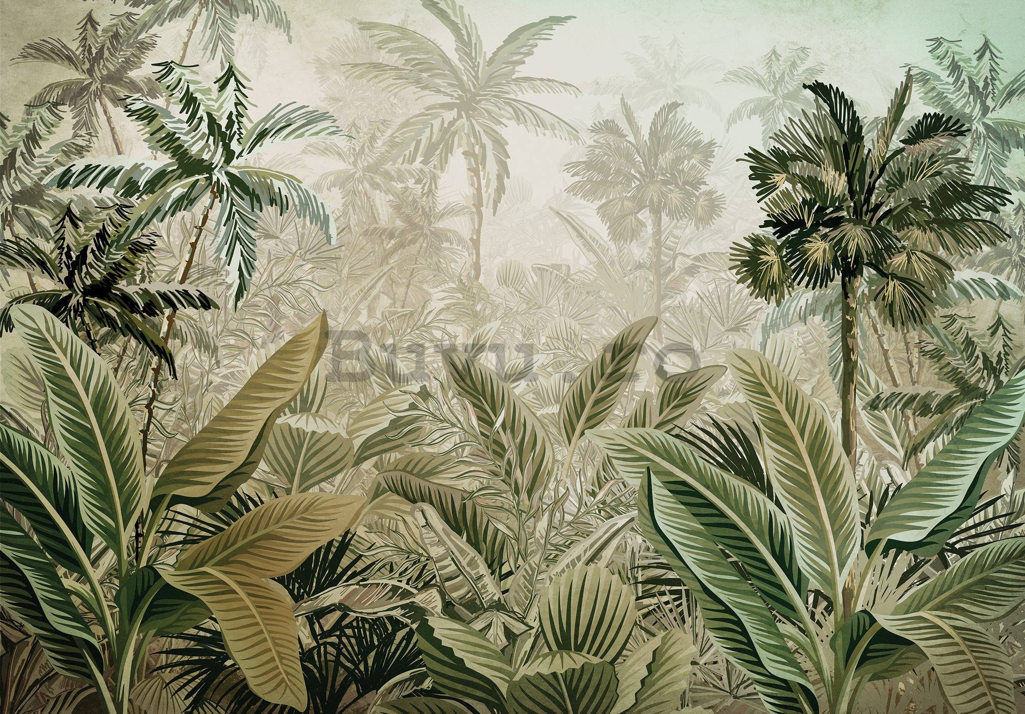 Fototapet vlies: Vegetație tropicală - 254x184 cm