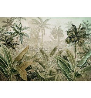 Fototapet vlies: Vegetație tropicală - 254x184 cm