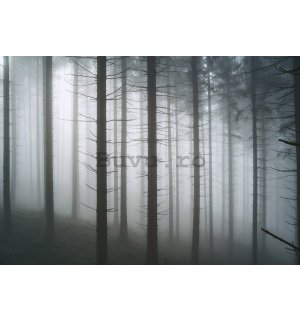 Fototapet vlies: Pădure bântuită (1) - 368x254 cm