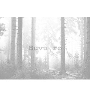 Fototapet vlies: Pădure în alb și negru (3) - 368x254 cm