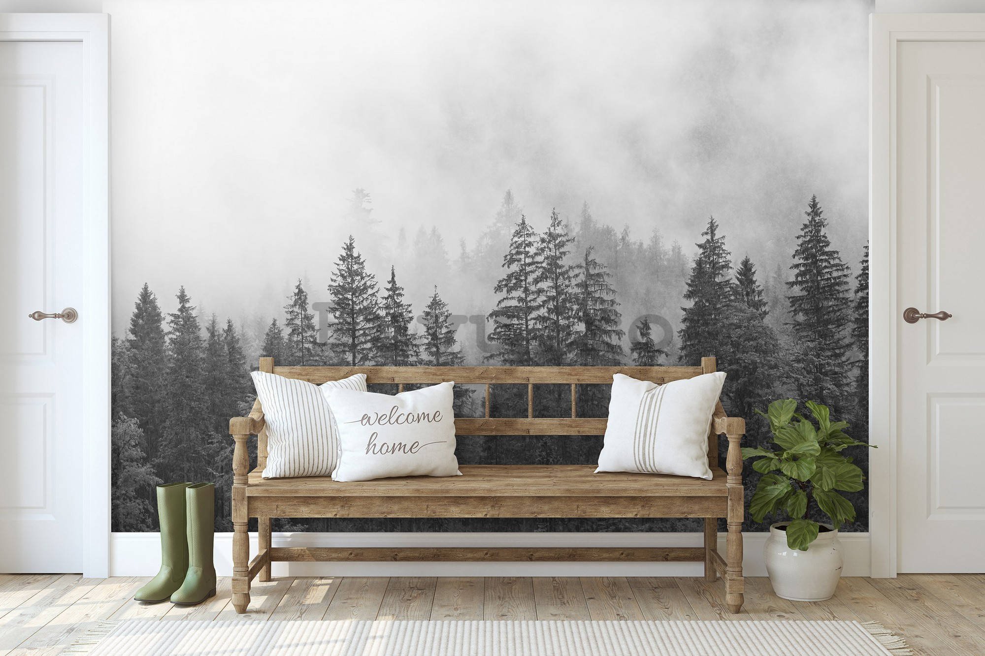 Fototapet vlies: Ceață peste pădurea albă și neagră - 368x254 cm