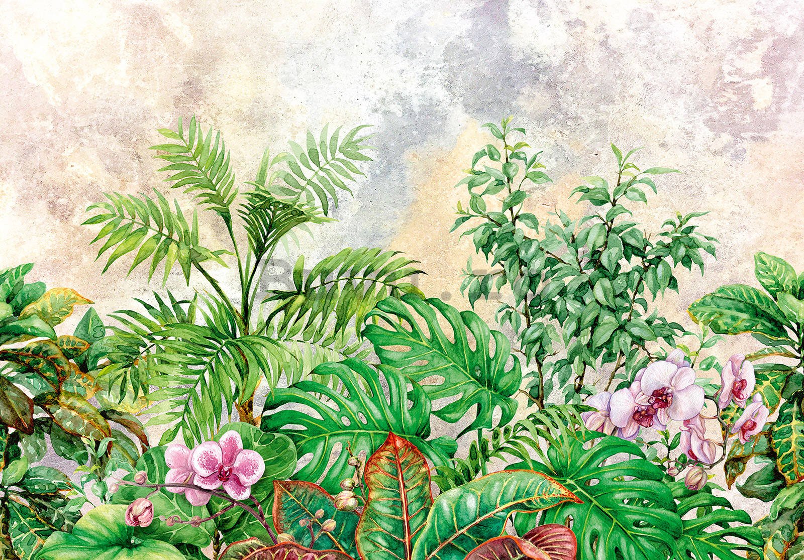 Fototapet vlies: Plante pictate - 416x254 cm