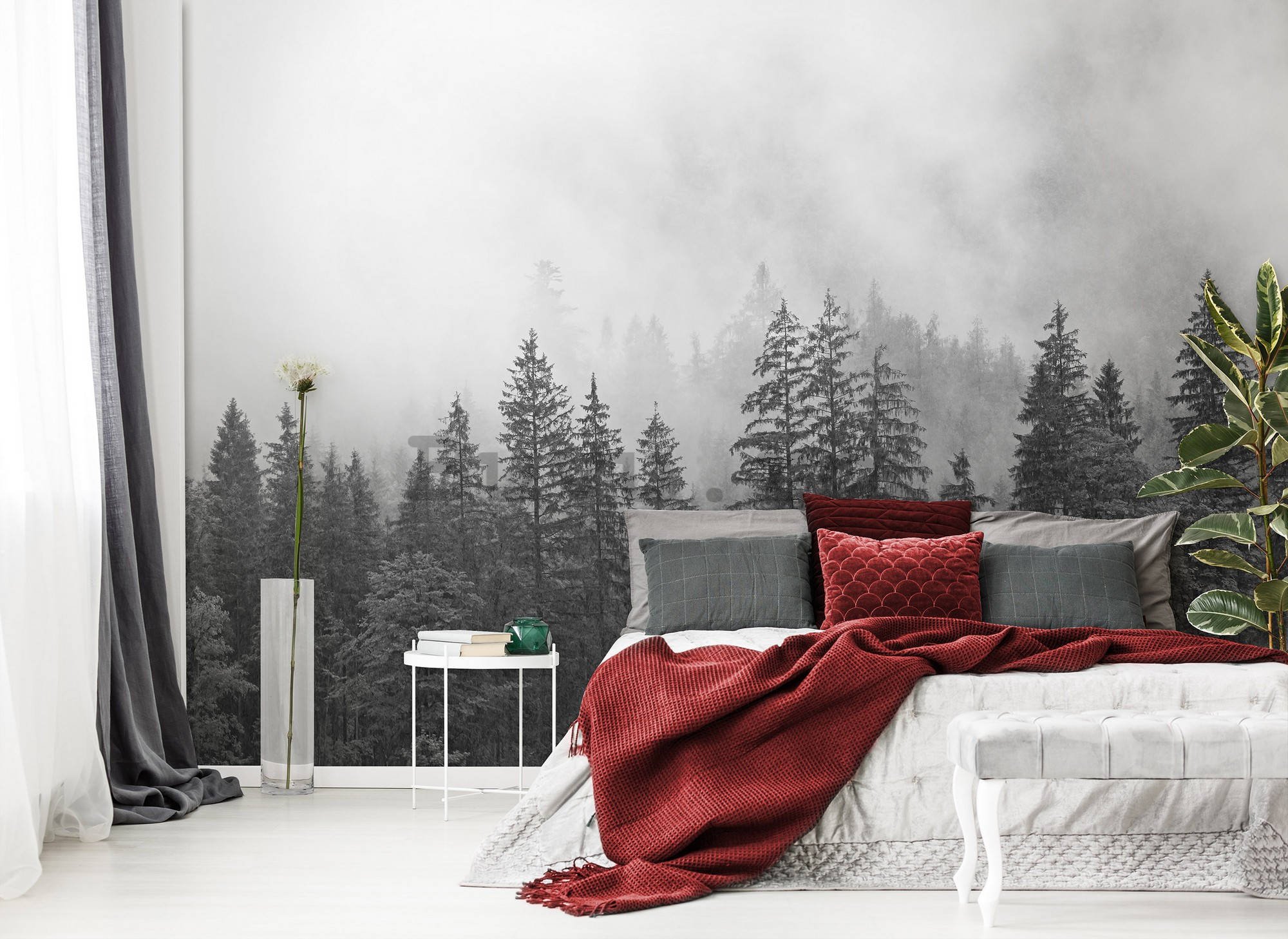 Fototapet vlies: Ceață peste pădurea albă și neagră - 416x254 cm