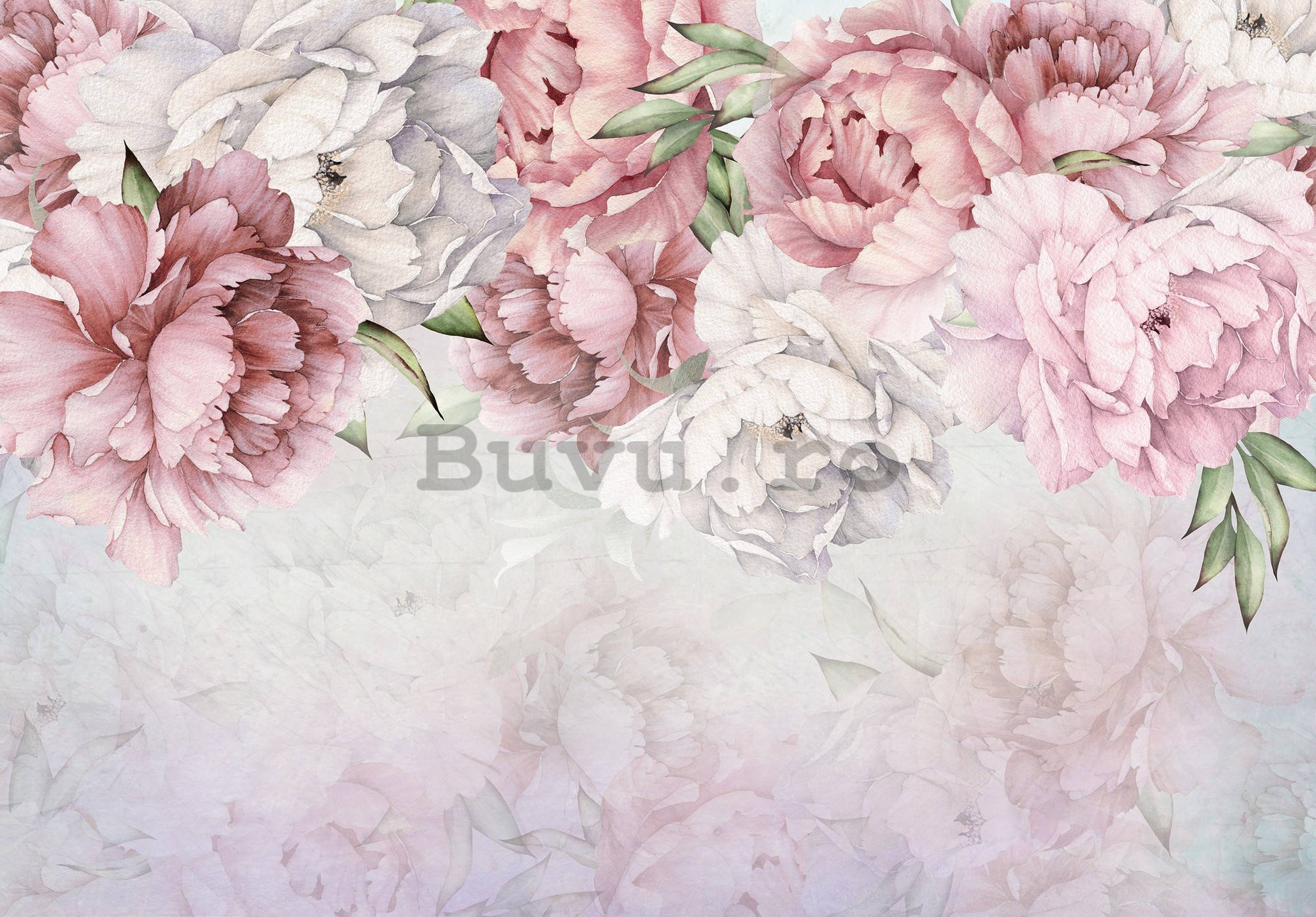 Fototapet vlies: Trandafiri albi și roz - 416x254 cm