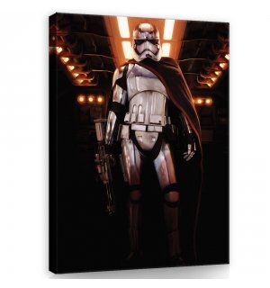 Tablou canvas: Star Wars Captain Phasma (1) - 75x100 cm