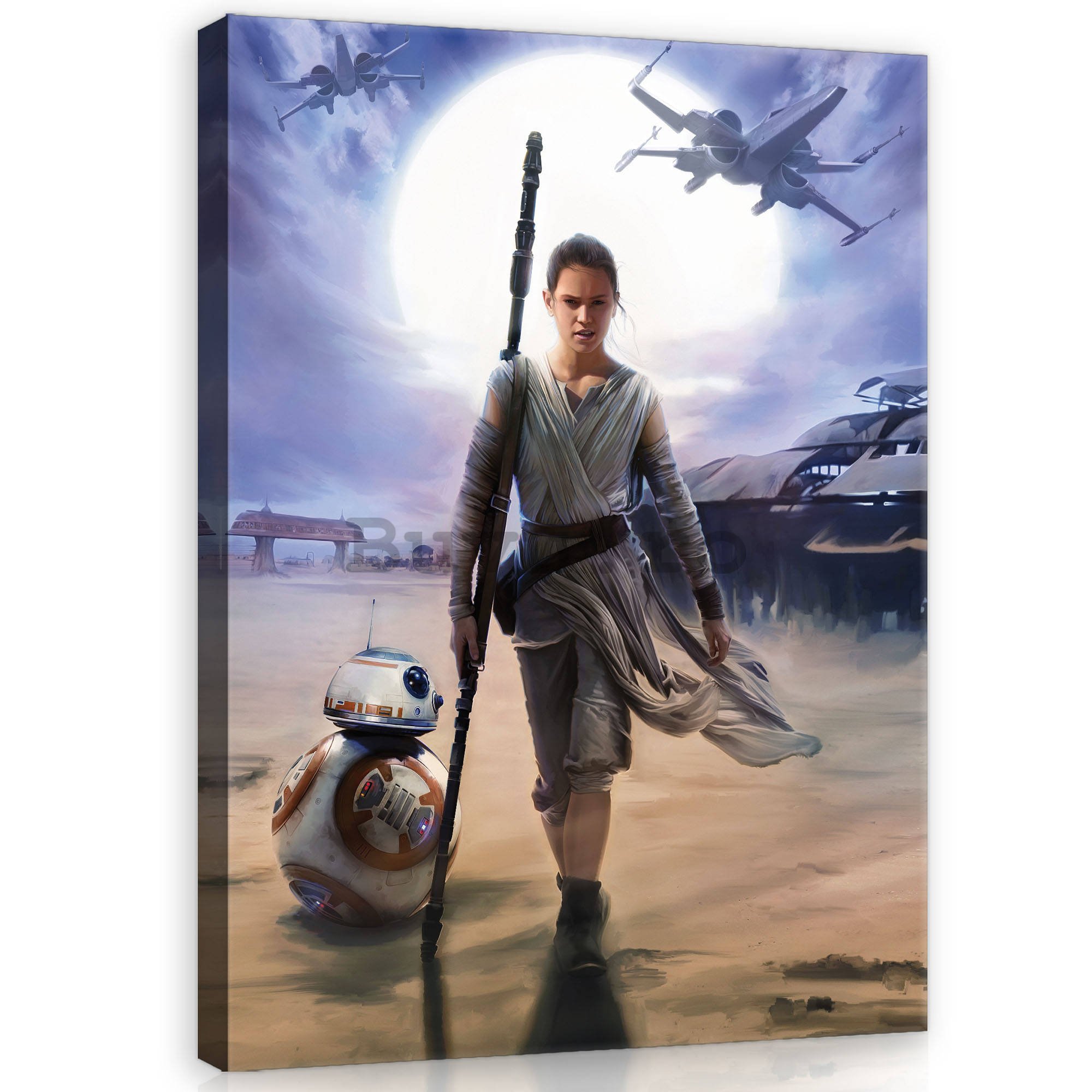 Tablou canvas: Star Wars Rey - 100x75 cm