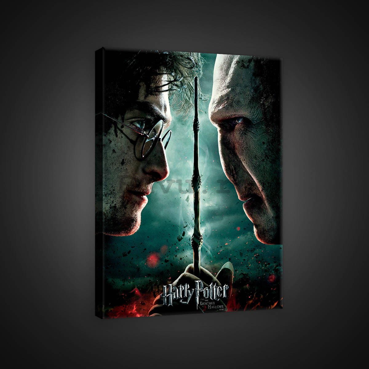 Tablou canvas: Harry Potter and Deathly Hallows Part 6 - 75x100 cm