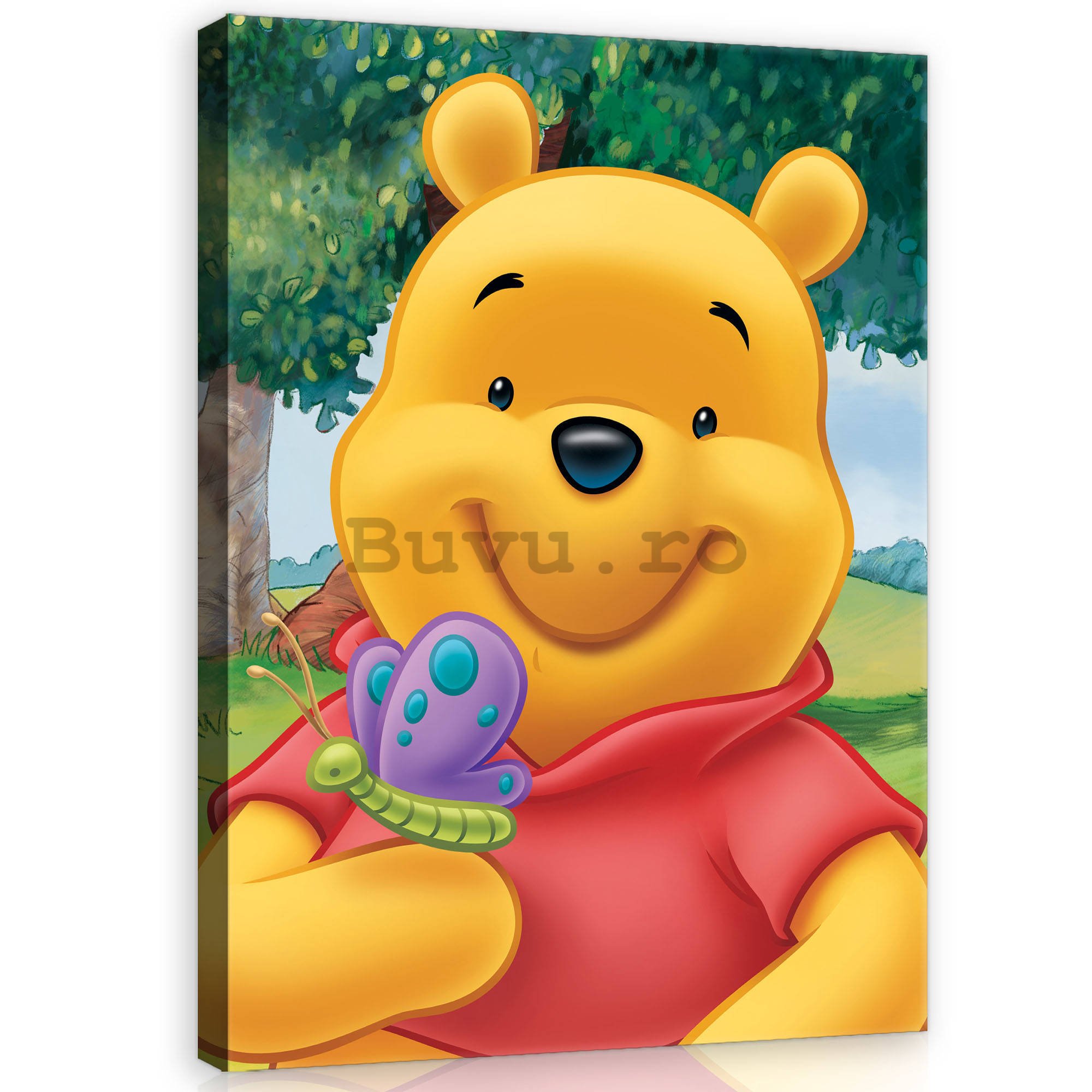 Tablou canvas: Winnie the Pooh (Fluturele) - 75x100 cm