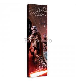 Tablou canvas: Star Wars Captain Phasma Poster - 45x145 cm