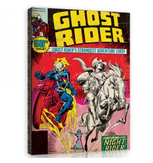 Tablou canvas: Ghost Rider (comics) - 60x80 cm