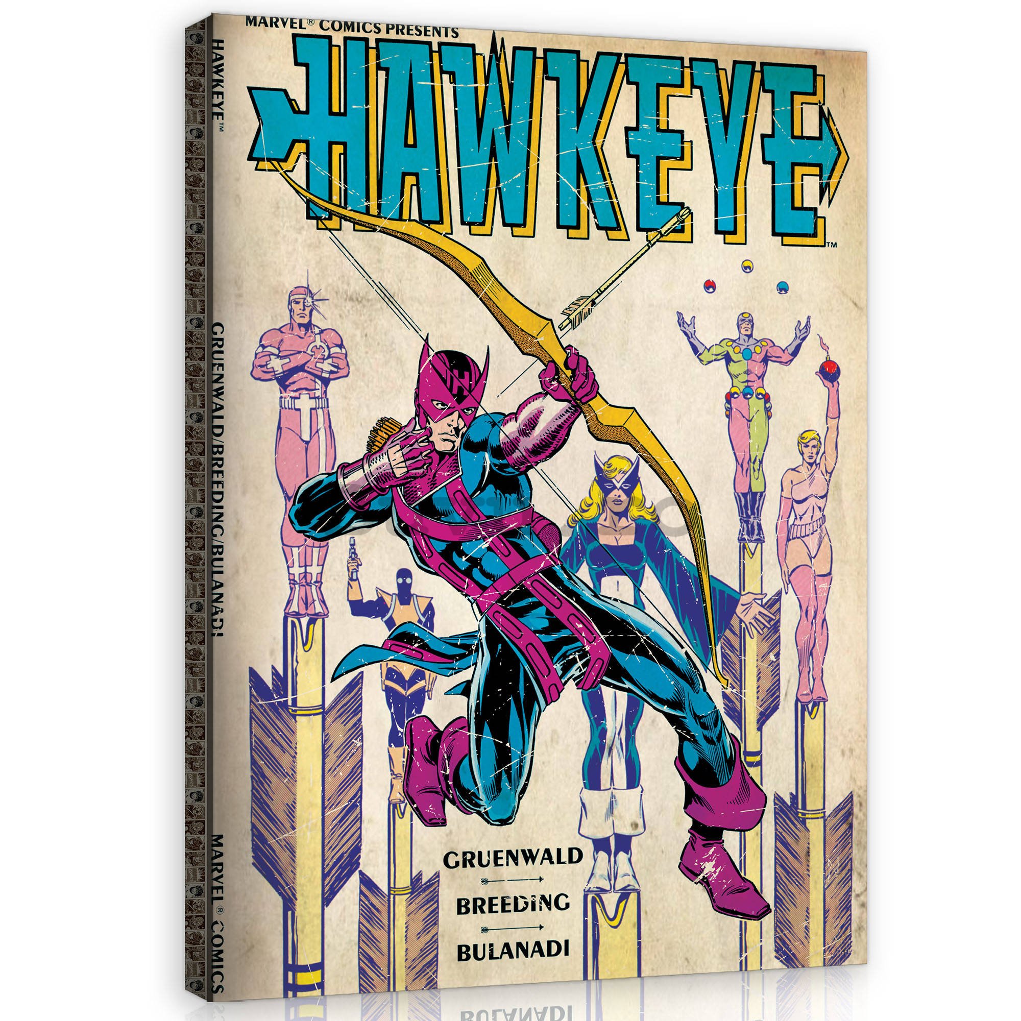 Tablou canvas: Hawkeye - 60x80 cm