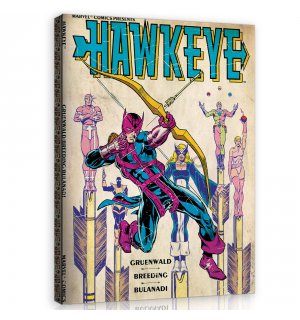 Tablou canvas: Hawkeye - 60x80 cm