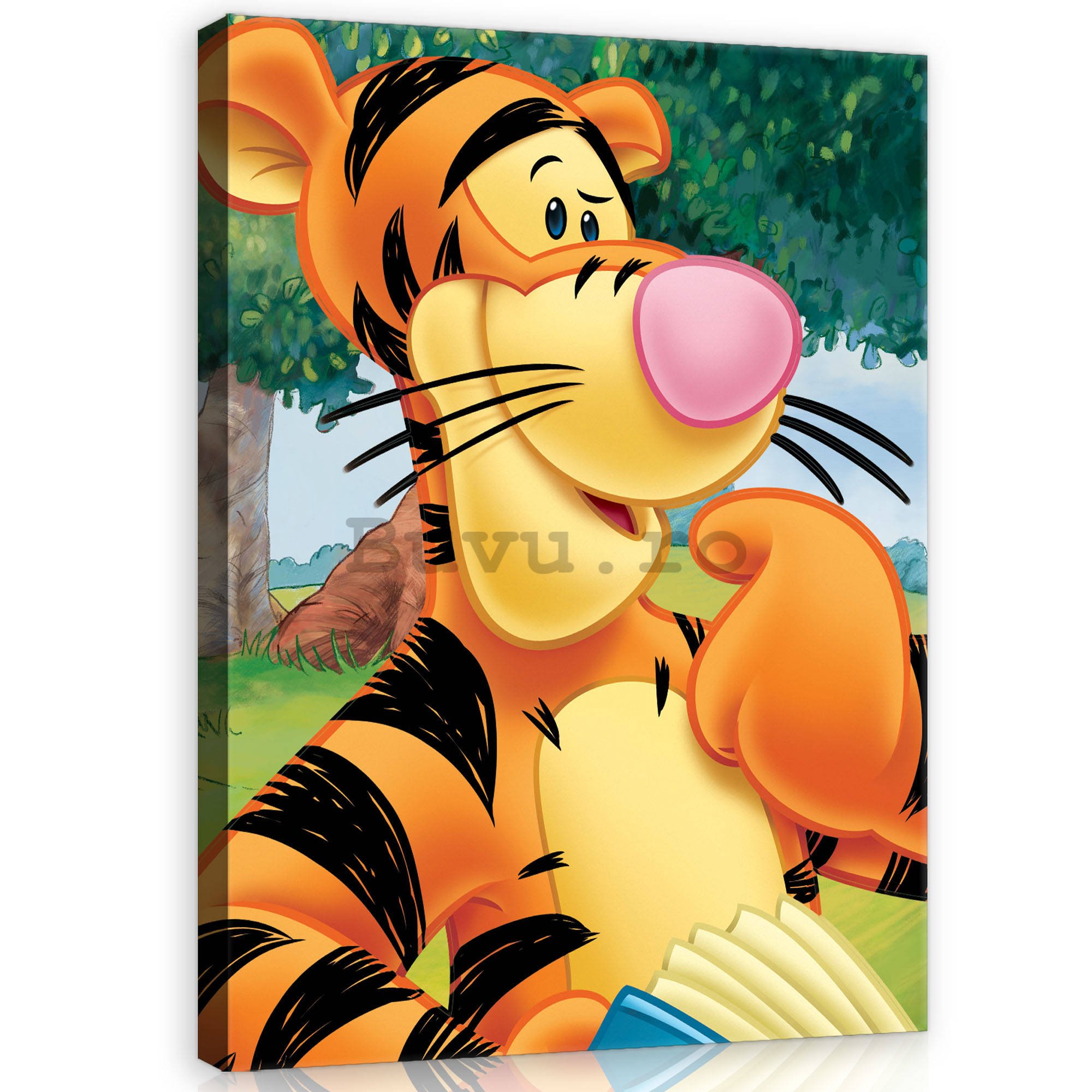 Tablou canvas: Winnie the Pooh (Tigru) - 60x80 cm