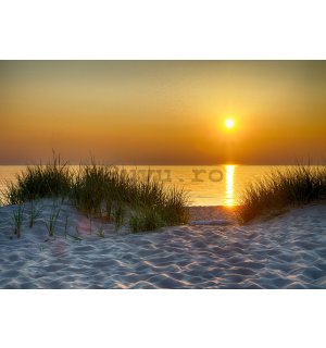 Fototapet vlies: Apus de soare pe plajă (5) - 368x254 cm