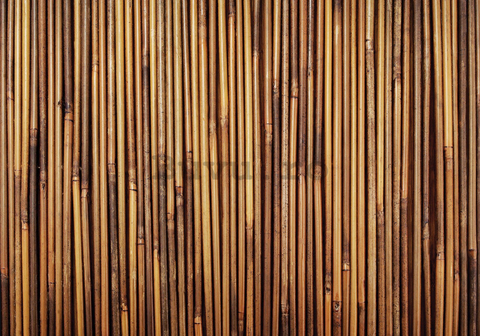 Fototapet vlies: Placare din bambus - 200x140 cm