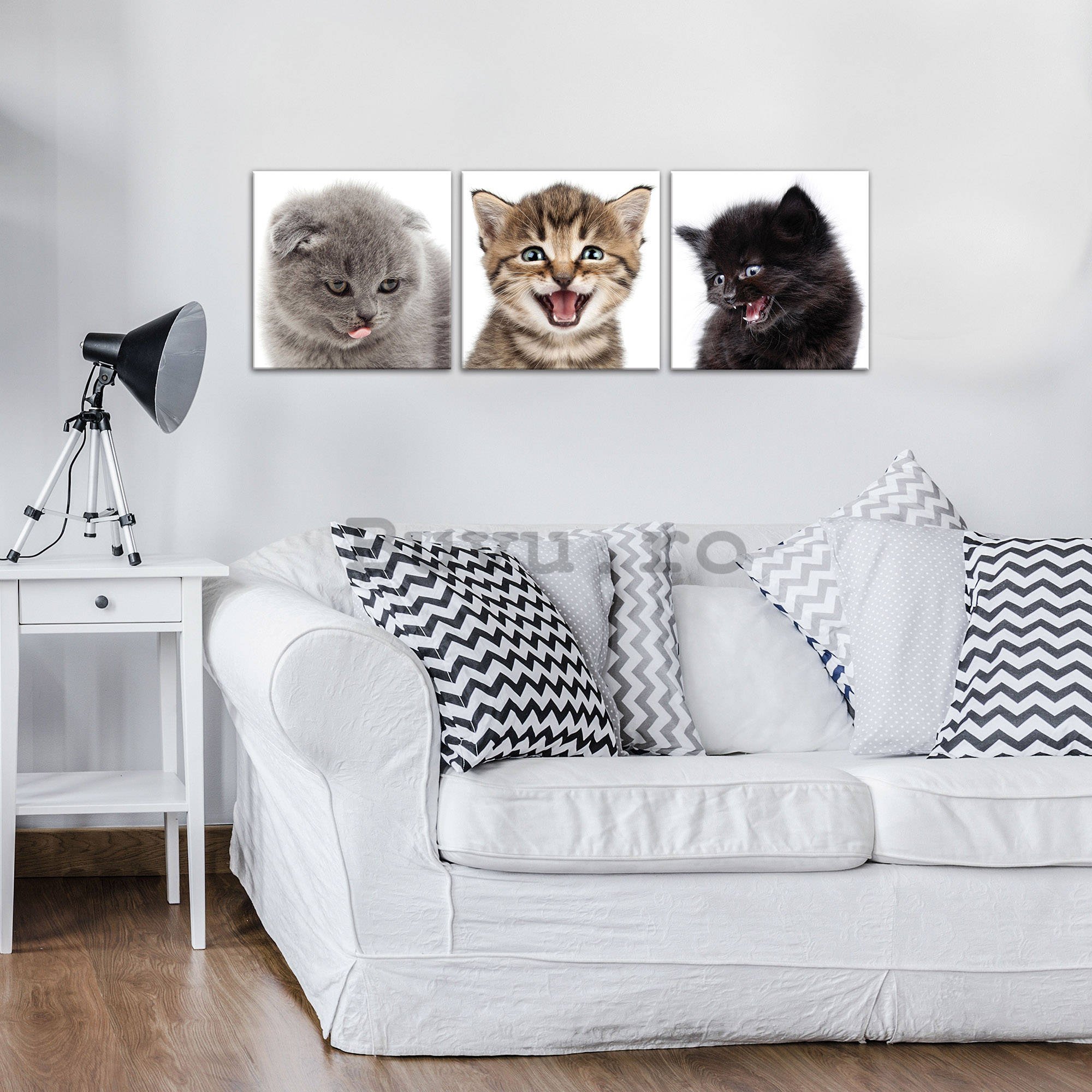 Tablou canvas: Pisicuțe (1) - set 3 buc 25x25cm