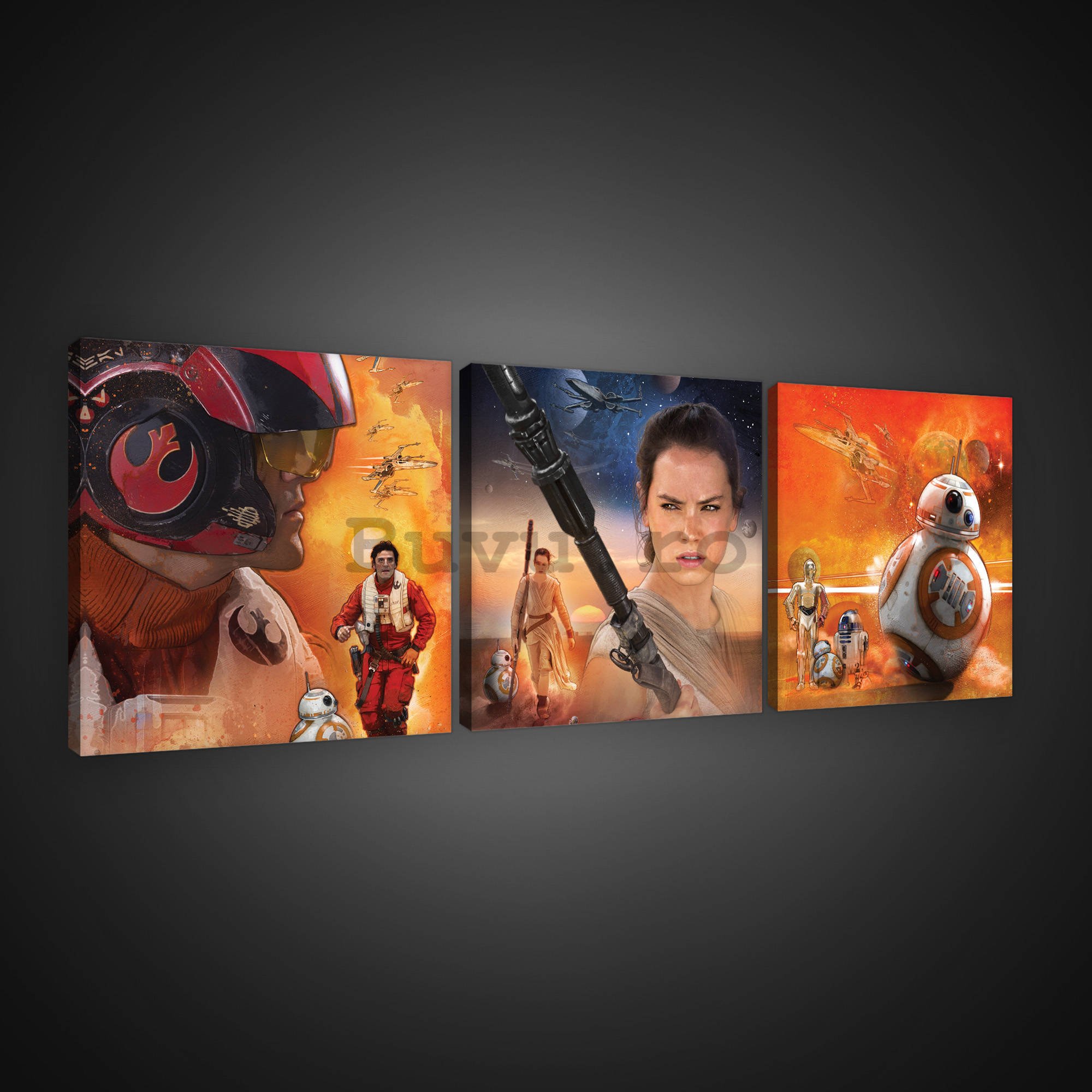 Tablou canvas: Star Wars Resistance Heroes - set 3 buc 25x25cm
