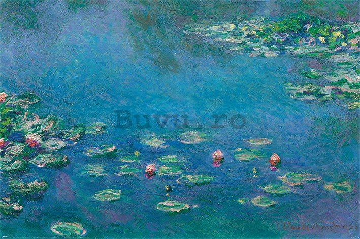 Poster - Claude Monet, Nuferi
