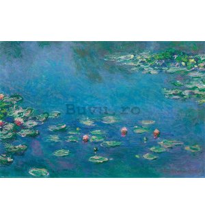 Poster - Claude Monet, Nuferi