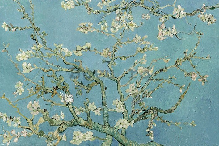 Poster - Van Gogh, Flori de migdale
