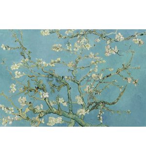 Poster - Van Gogh, Flori de migdale