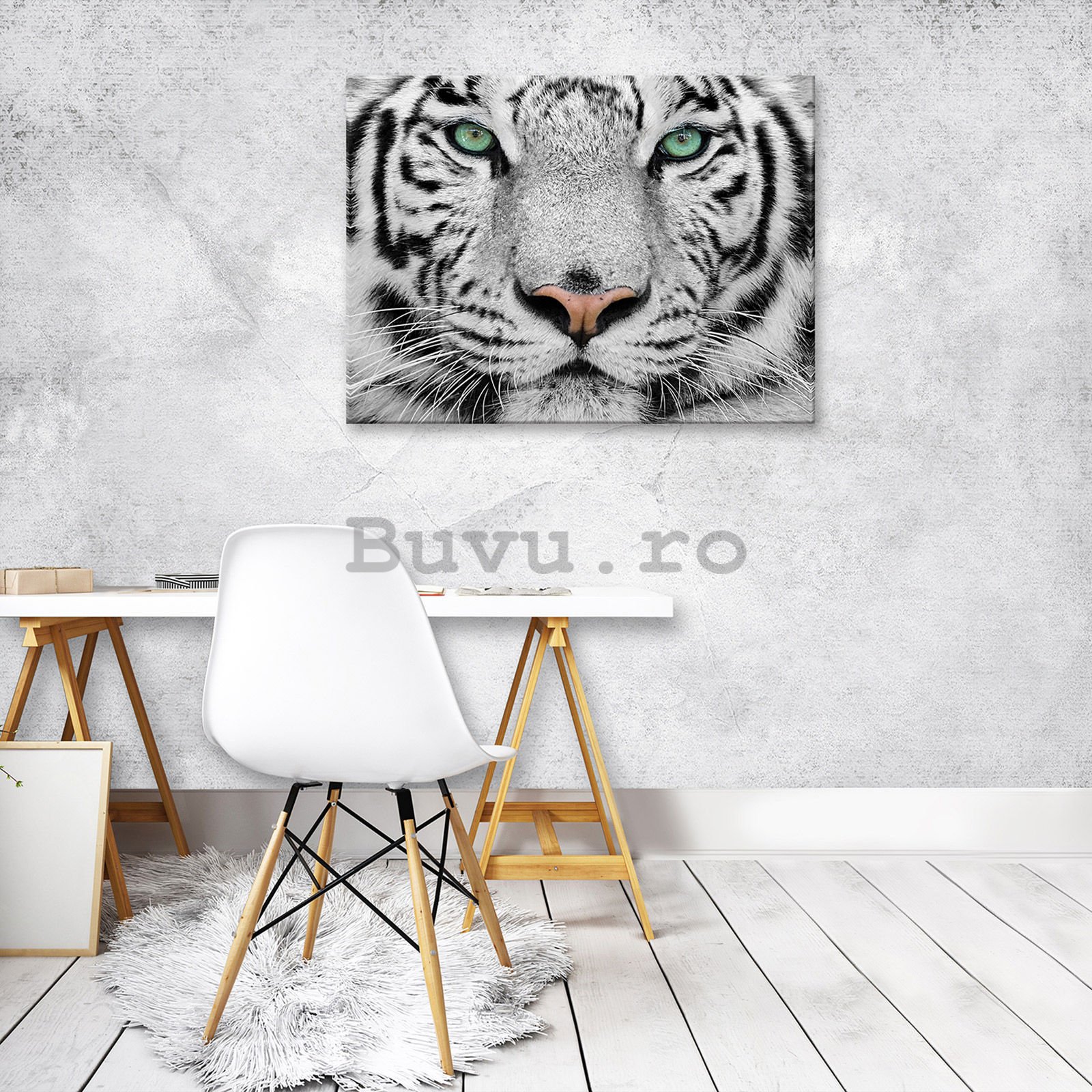 Tablou canvas: Tigrul alb - 80x60 cm