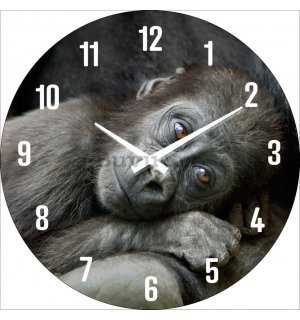 Ceas de perete fabricat din sticlă: Un pui de gorilă - 30 cm