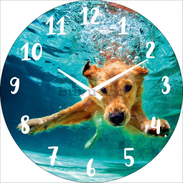 Ceas de perete din sticlă: Câine sub apă - 34 cm