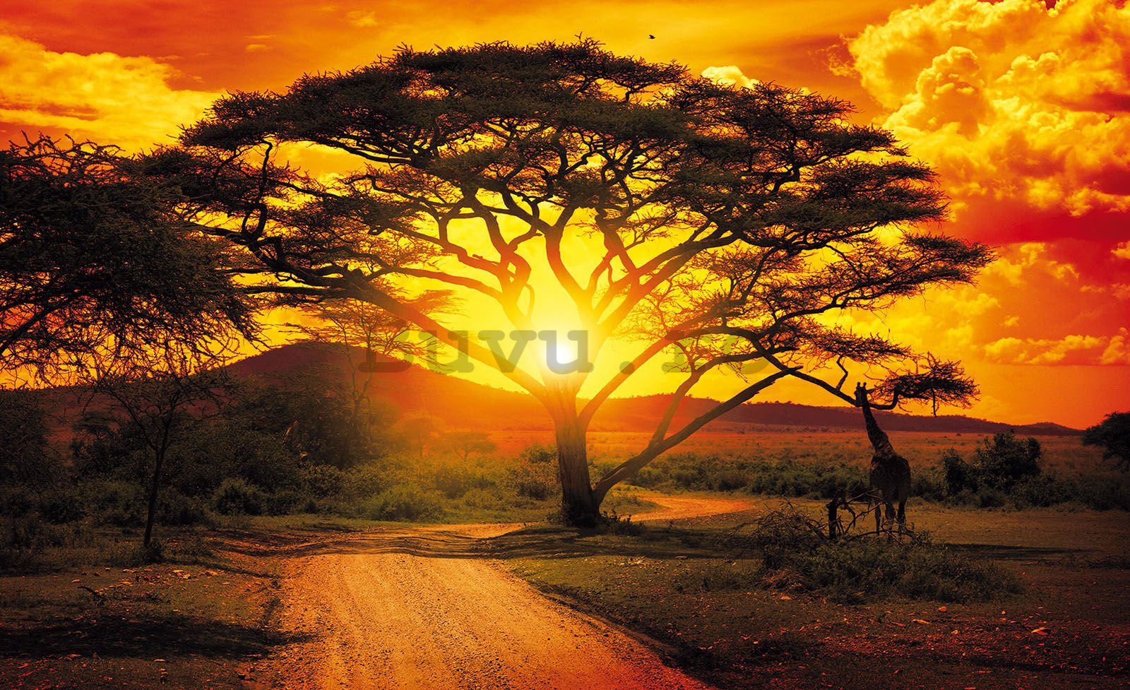 Fototapet: Apus de soare african (1) - 368x254 cm