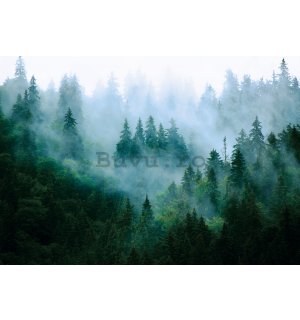 Fototapet vlies: Ceață peste pădure (3) - 254x184 cm