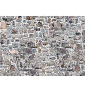 Fototapet vlies: Zid de piatră (7) - 368x254 cm