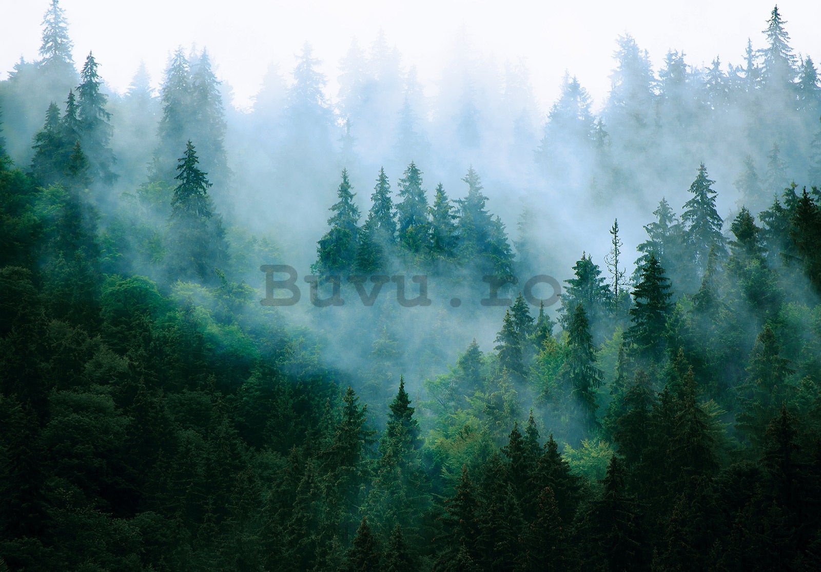 Fototapet vlies: Ceață peste pădure (3) - 368x254 cm