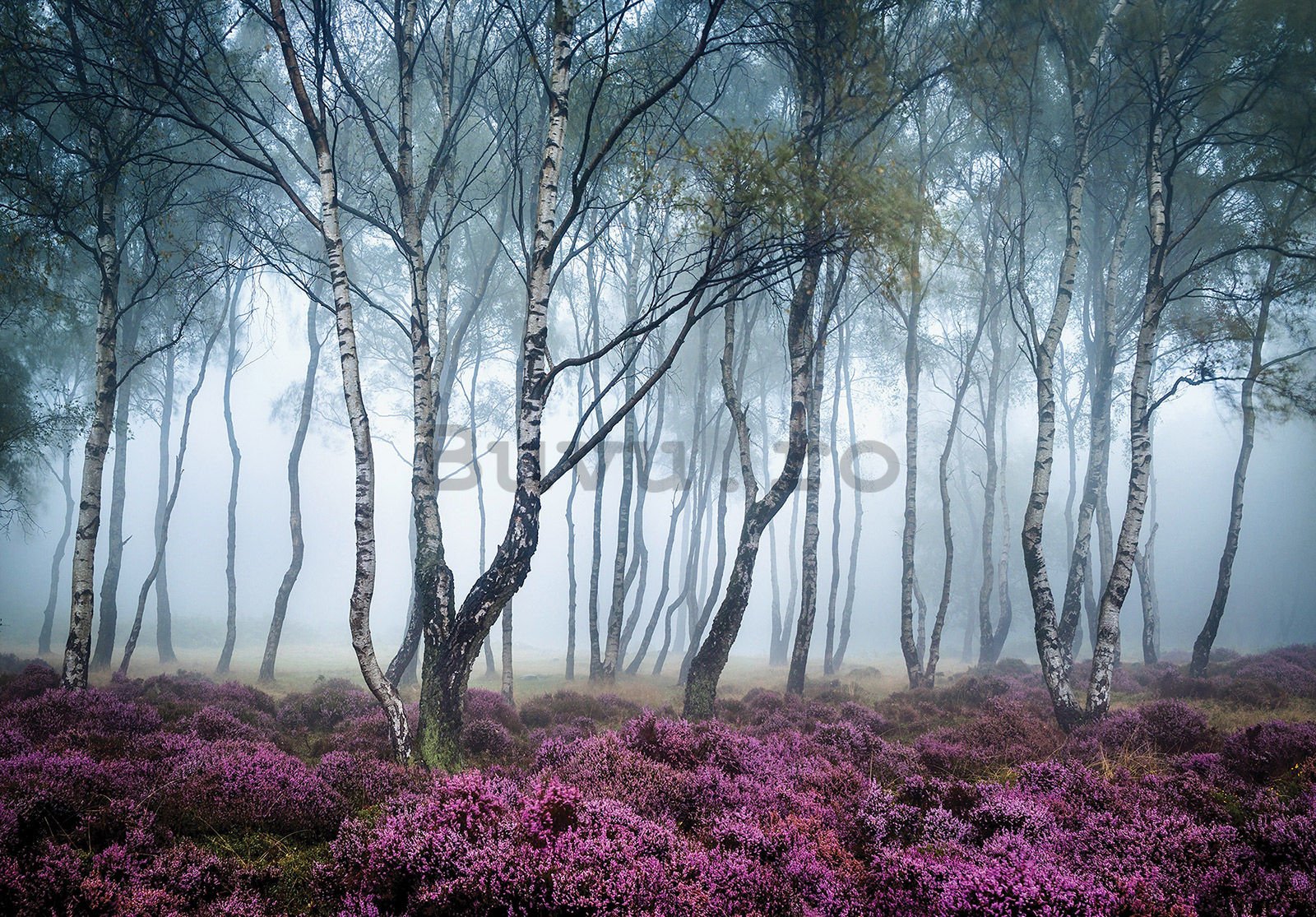 Fototapet vlies: Pădurea misterioasă - 368x254 cm