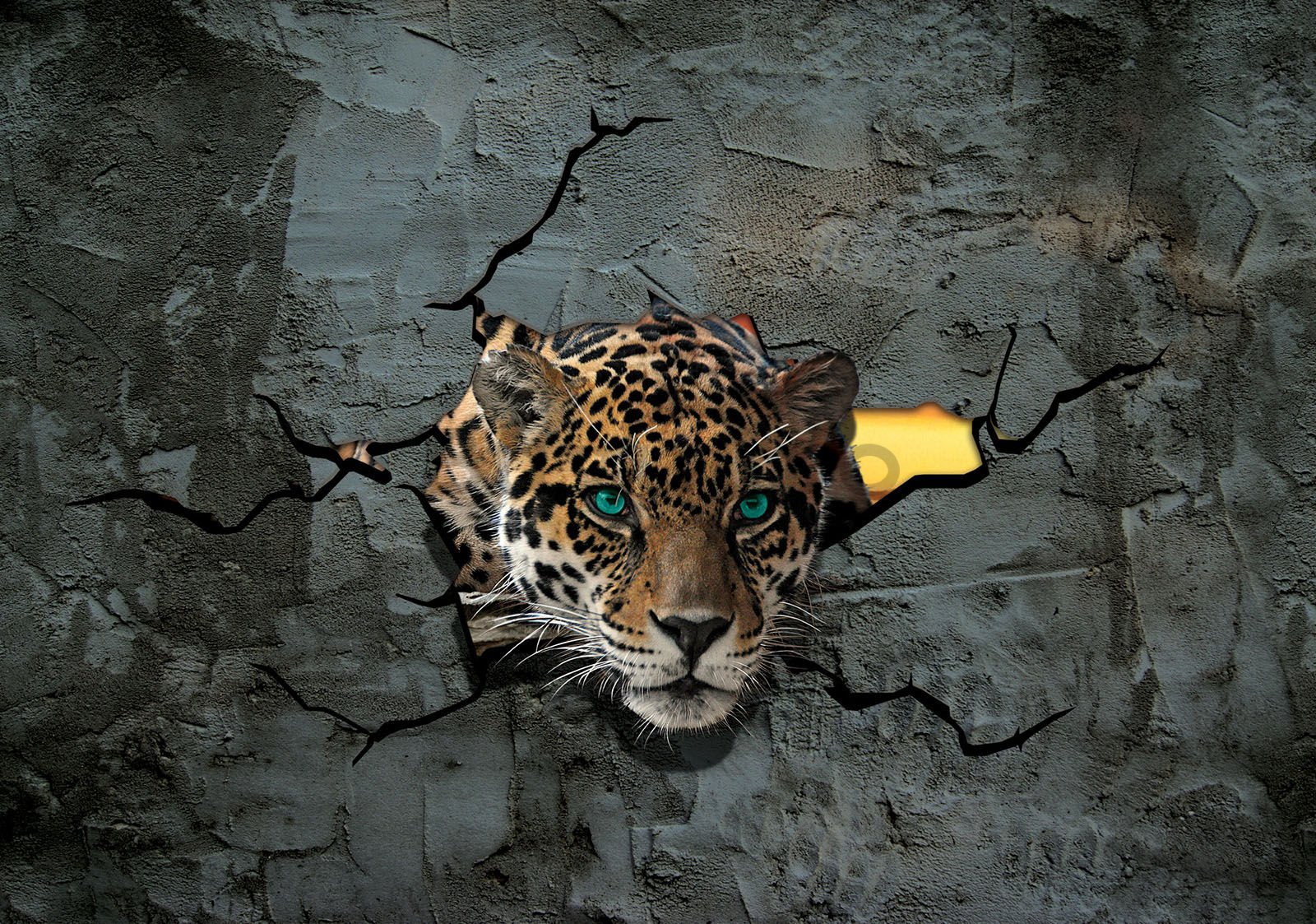 Fototapet vlies: Gepard în zid - 152,5x104 cm