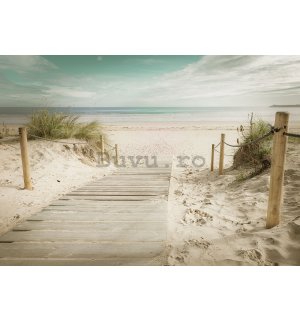 Fototapet vlies: Drum spre plajă (10) - 104x70,5 cm