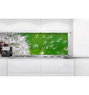 Fototapet autoadeziv lavabil pentru bucătărie - Păpădie, 180x60 cm