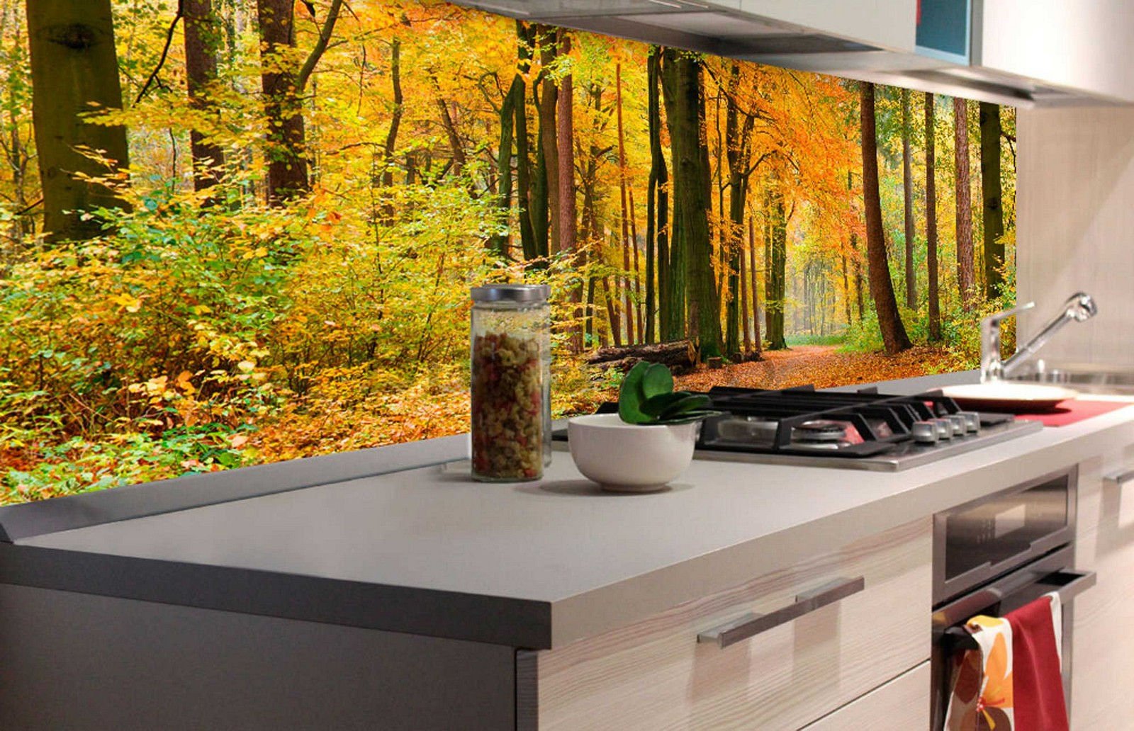 Fototapet autoadeziv lavabil pentru bucătărie - Pădure de toamnă, 180x60 cm