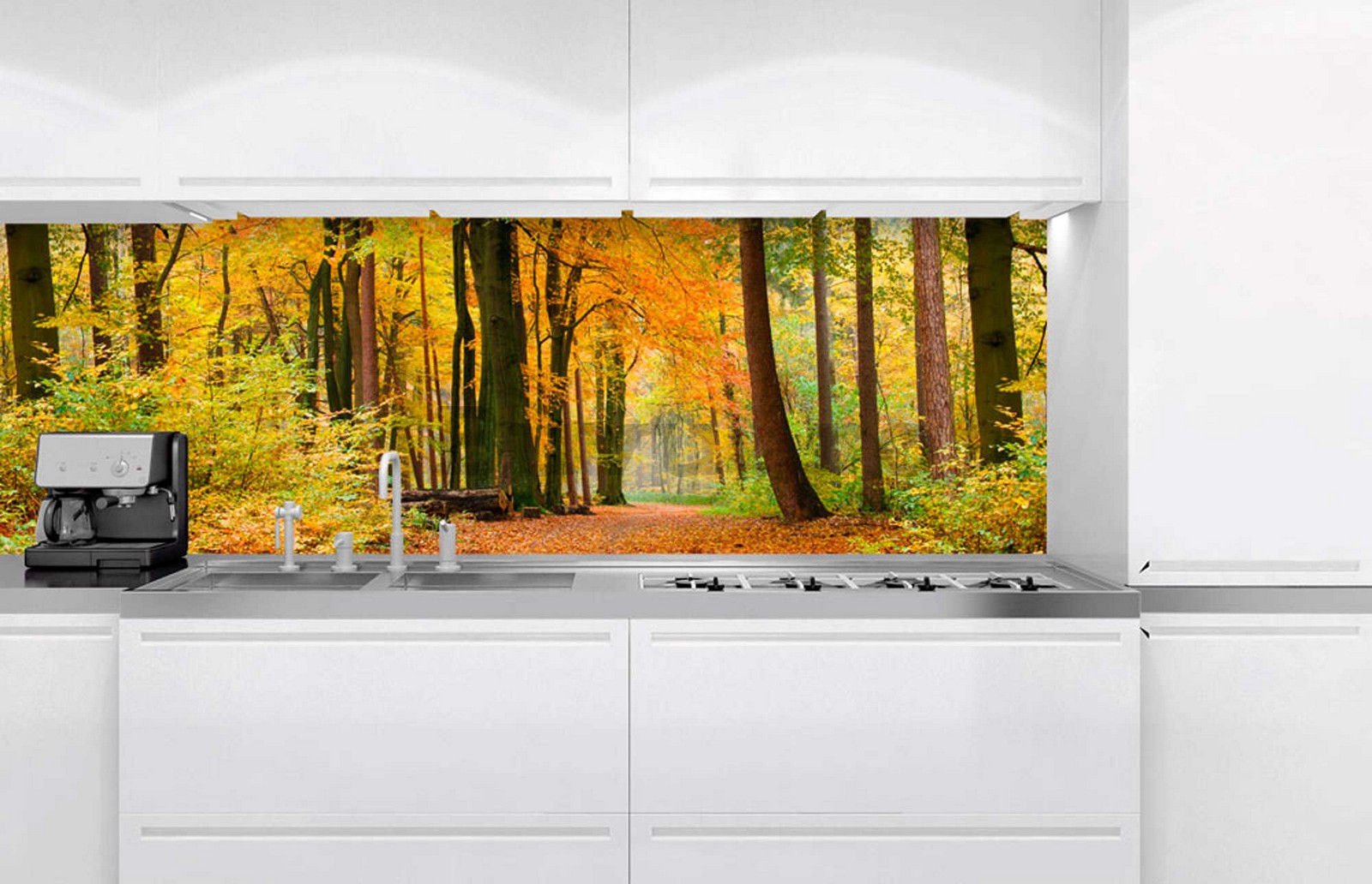 Fototapet autoadeziv lavabil pentru bucătărie - Pădure de toamnă, 180x60 cm