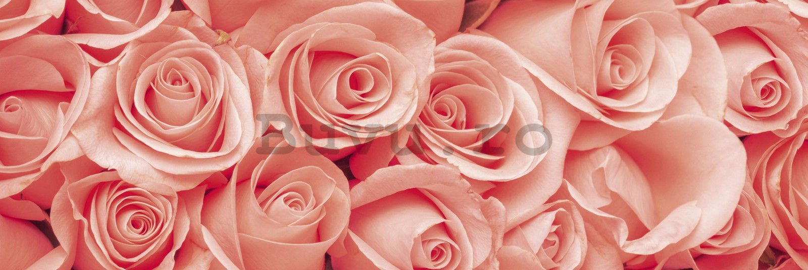 Tapet autoadeziv lavabil pentru bucătărie - Trandafiri roz, 180x60 cm
