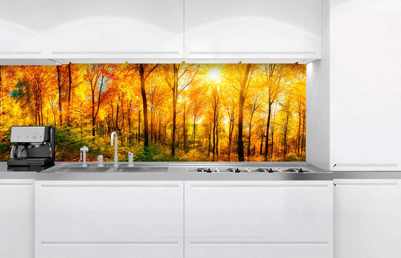 Tapet autoadeziv lavabil pentru bucătărie - Soare de toamnă în pădure, 180x60 cm