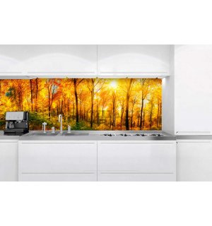 Tapet autoadeziv lavabil pentru bucătărie - Soare de toamnă în pădure, 180x60 cm