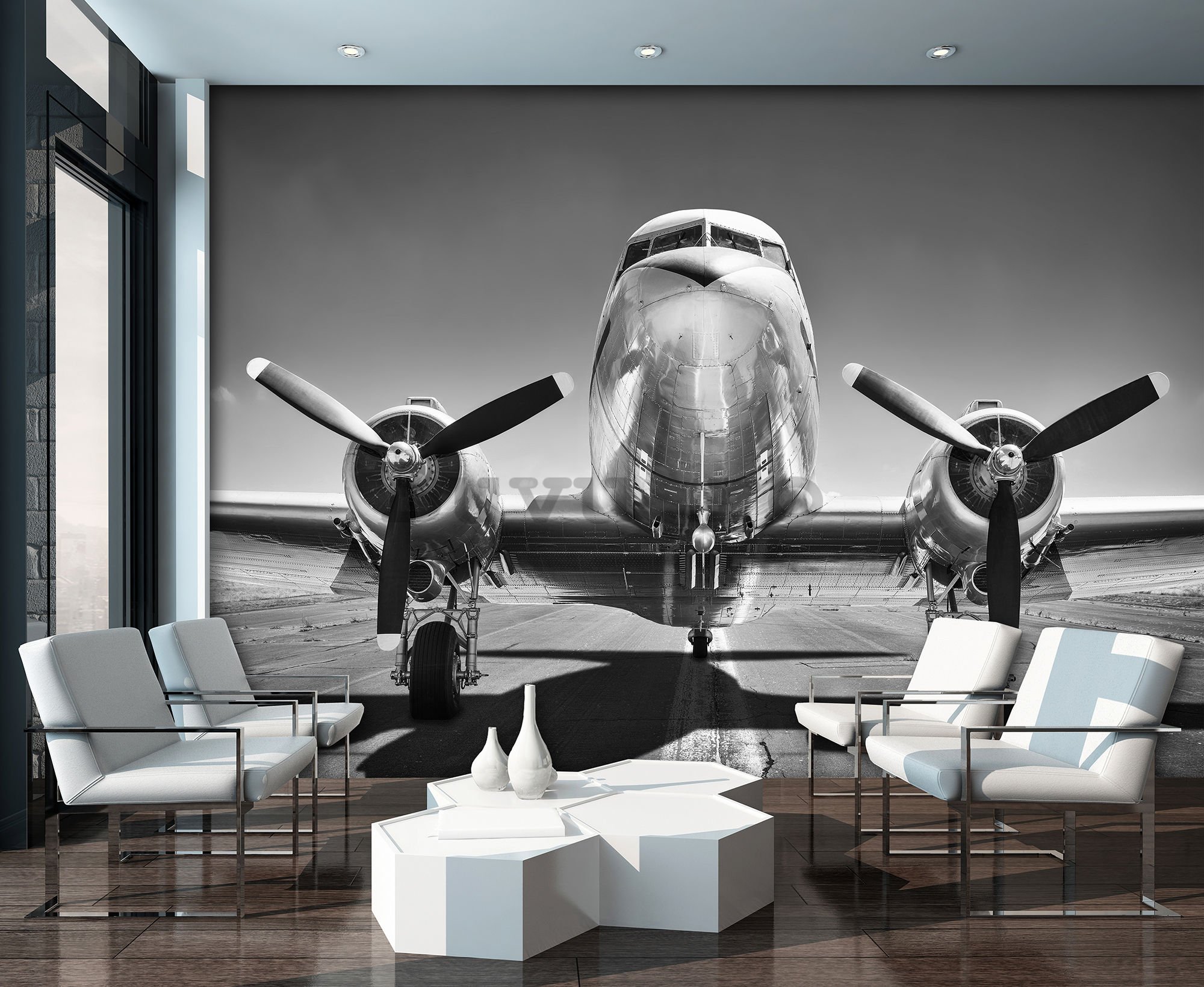 Fototapet vlies: Aeronave negre și albe (1) - 368x254 cm