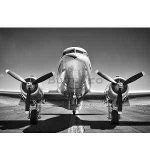 Fototapet vlies: Aeronave negre și albe (1) - 104x152,5 cm
