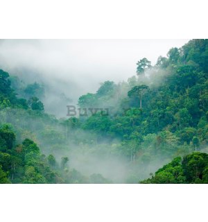 Fototapet vlies: Pădurea tropicală - 254x184 cm