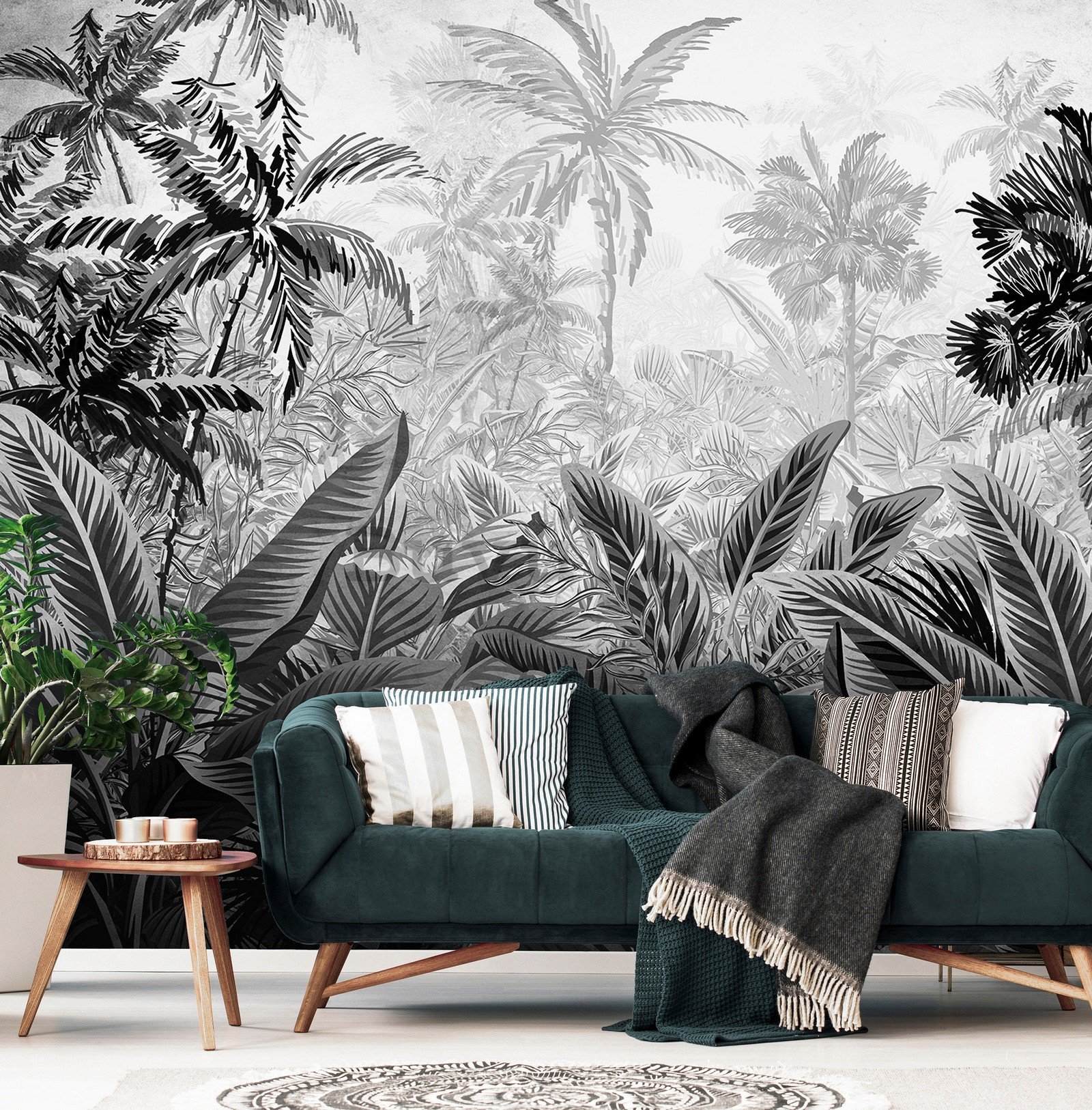Fototapet vlies: Palmieri și ferigi (alb-negru) - 254x184 cm