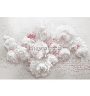 Fototapet vlies: Trandafiri albi pe perete - 254x184 cm