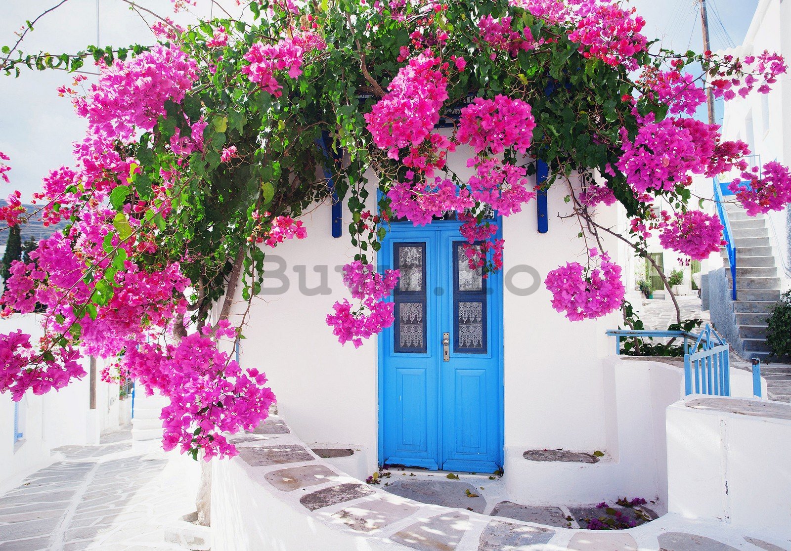 Fototapet vlies: Flori de stradă grecească (1) - 254x184 cm