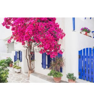 Fototapet vlies: Flori de stradă grecească (3) - 254x184 cm