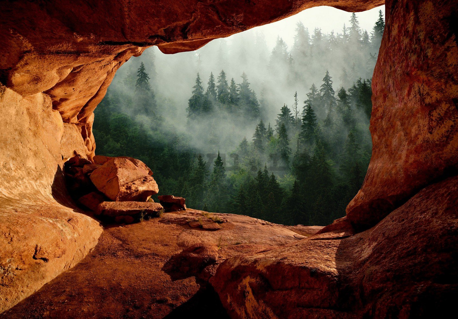 Fototapet vlies: O peșteră lângă pădure - 254x184 cm