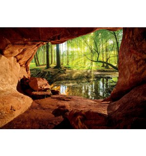 Fototapet vlies: O peșteră lângă o pădure inundabilă - 254x184 cm